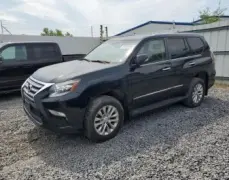 Lexus Gx 460