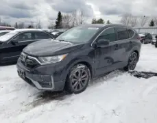 Honda Cr-v Honda Cr-v