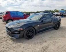 Ford Mustang Ford Mustang