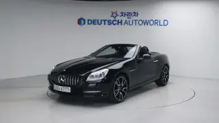 Benz New SLK-Class 200 R172