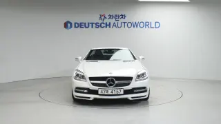 Benz New SLK-Class 200 R172