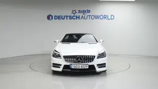 Benz New SLK-Class 350 R171