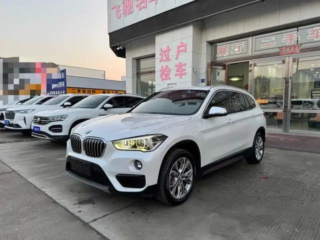 BMW X1 2018 SDrive20Li Ведущая модель