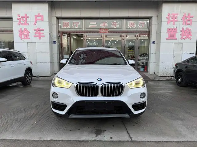 BMW X1 2018 SDrive20Li Ведущая модель