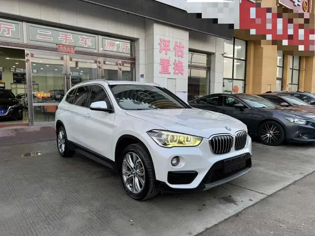 BMW X1 2018 SDrive20Li Ведущая модель