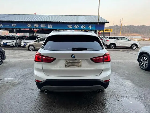 BMW X1 2018 SDrive20Li Ведущая модель