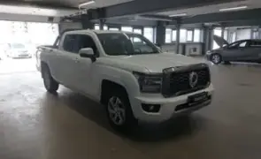 Great Wall Poer King Kong 2023