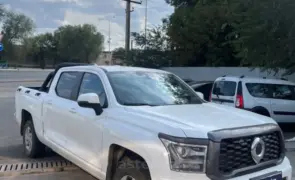 Great Wall Poer King Kong 2023