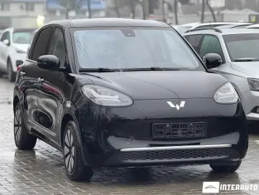 Wuling Bingo