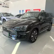 BYD Song Plus DM-i 160km Flag Ship