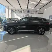 BYD Song Plus DM-i 160km Flag Ship