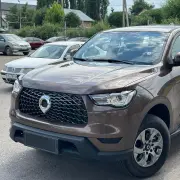 2021 Great Wall Poer