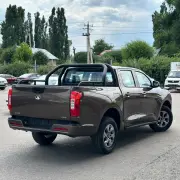 2021 Great Wall Poer