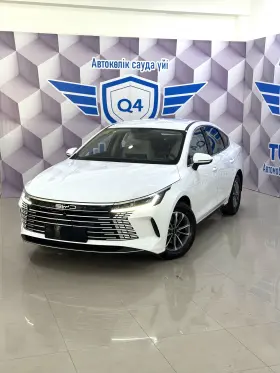 2025 BYD Destroyer 05
